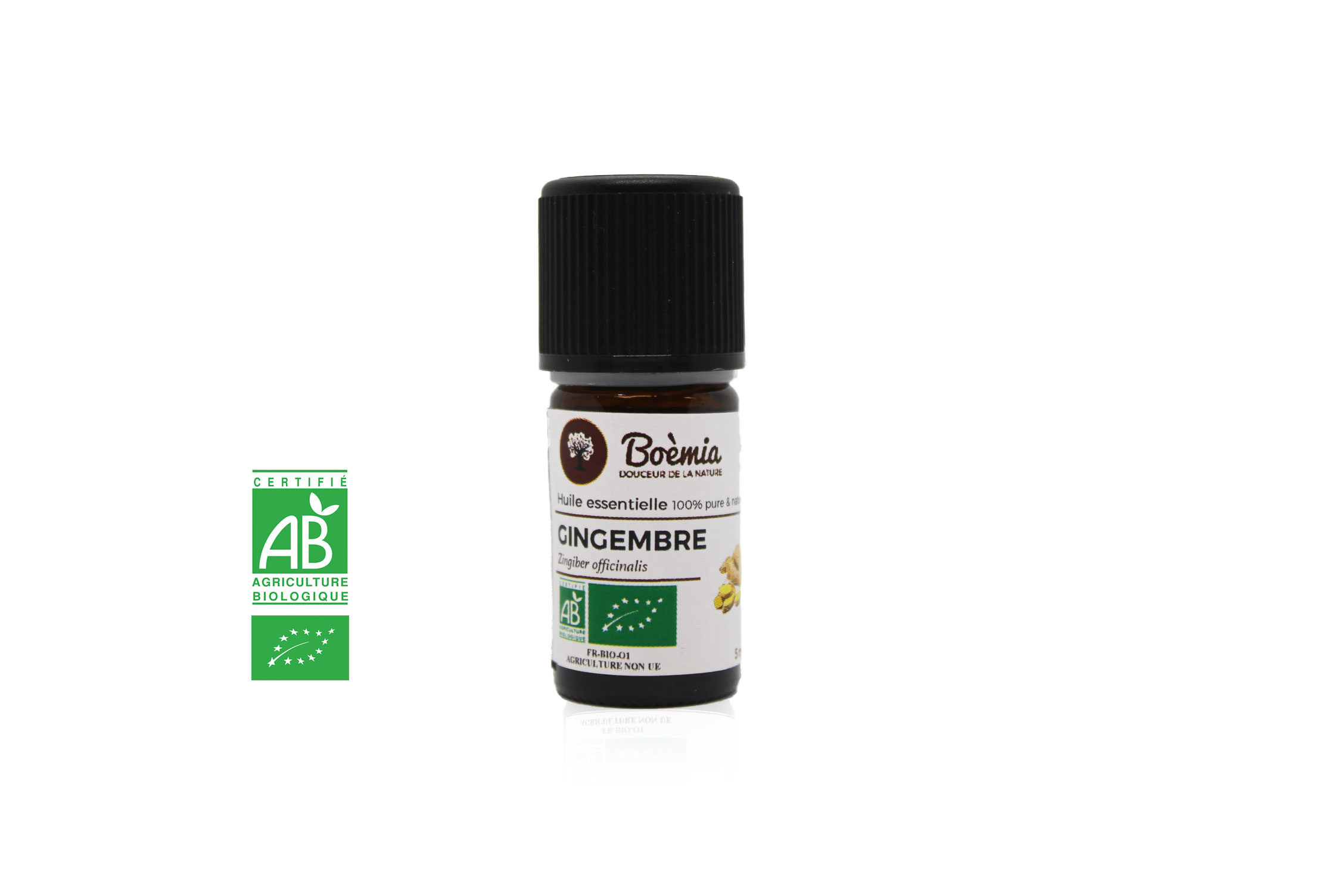 Huile Essentielle de Gingembre Rhizomes 100% pure et naturelle -  Boèmia-Aroma
