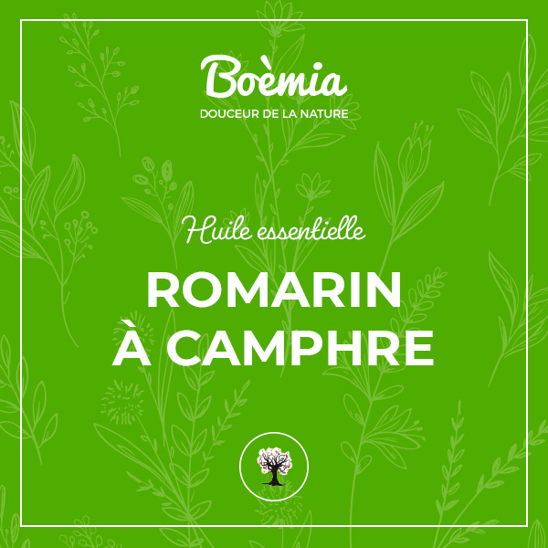 huile essentielle de Romarin à Camphre