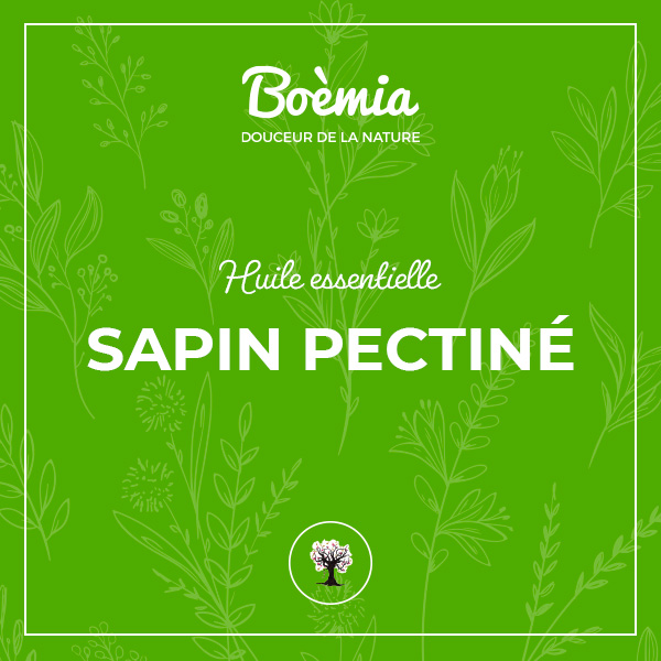 huile essentielle de Sapin Pectiné bio