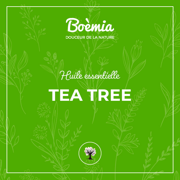 huile essentielle de Tea Tree bio