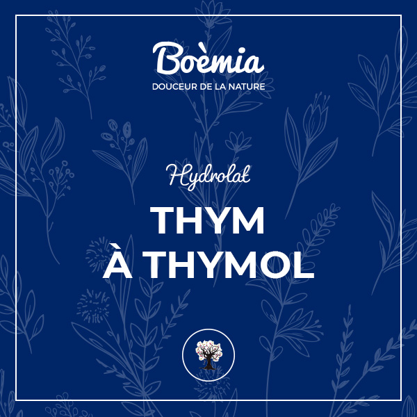 hydrolat de thym à Thymol bio