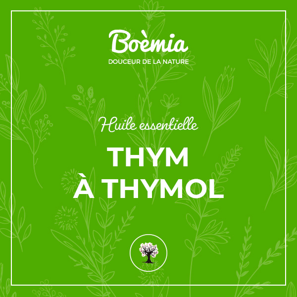 huile essentielle de Thym à Thymol bio