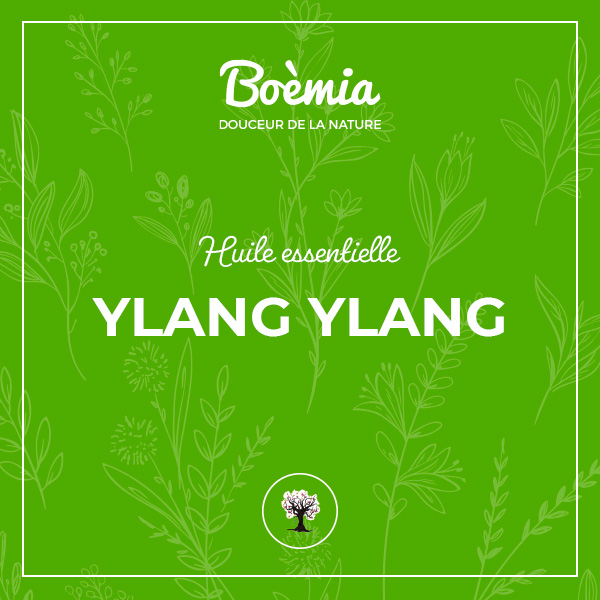 huile essentielle d'Ylang ylang bio
