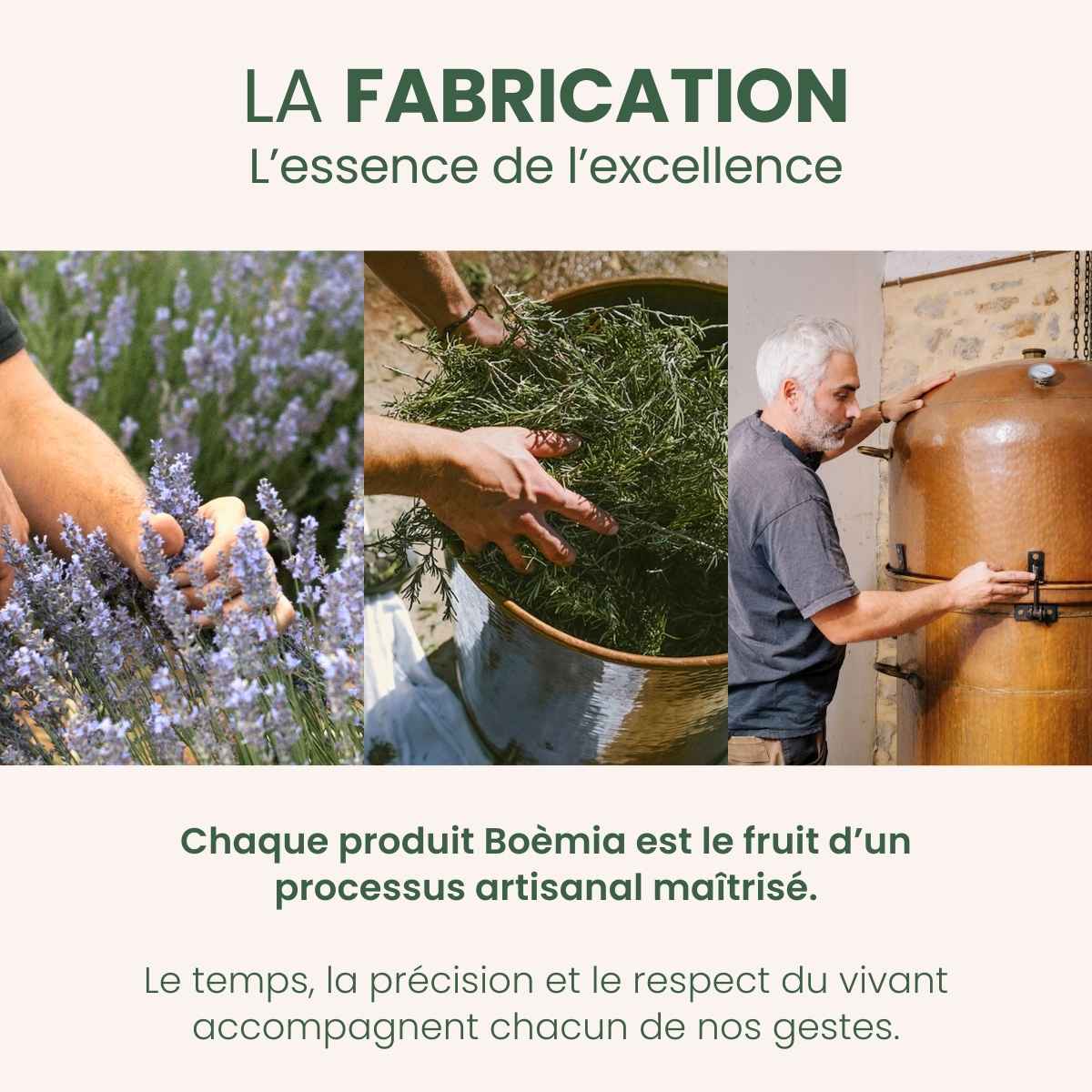 La fabrication d'une huile essentielle chez Boèmia