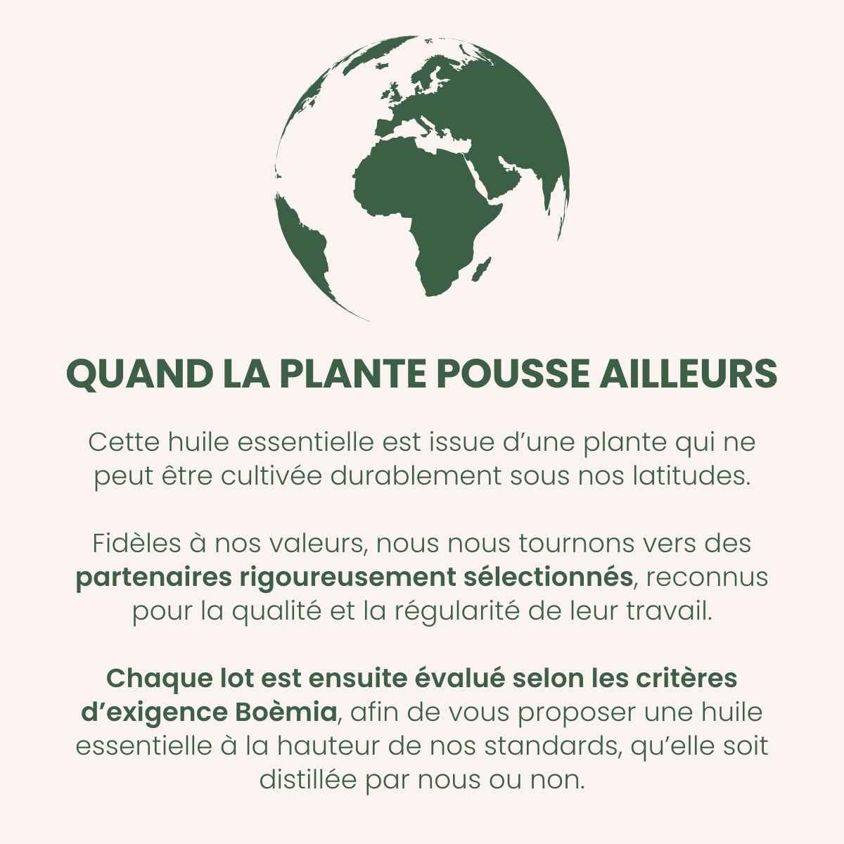 La sélection des huiles essentielles du monde