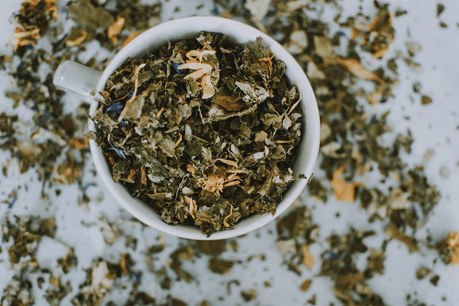 Tisane bio