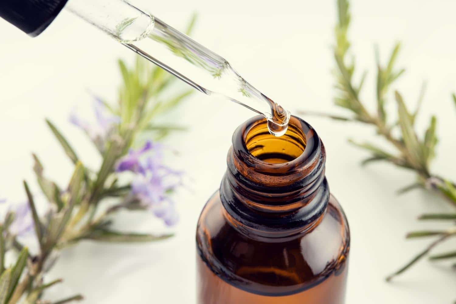 hydrolat-romarin-boemia