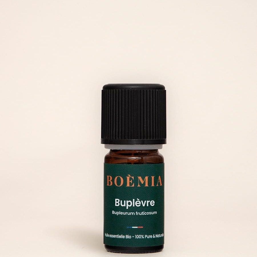 buplevre buplevre