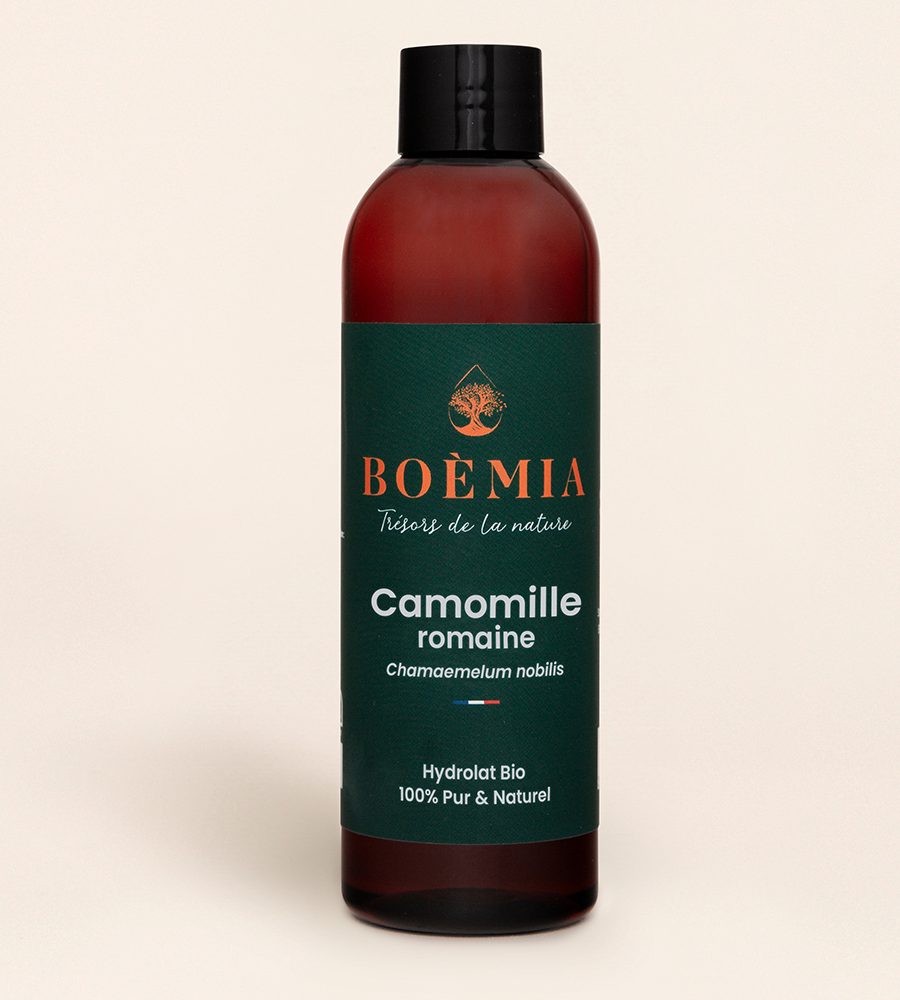 camomille-romaine