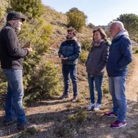 yTf4i2muHQZCuWjPoLfZ81eVSs2Y6t8t5vgGk0hh